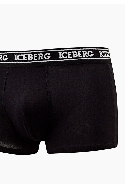 Iceberg ICE2UTR02